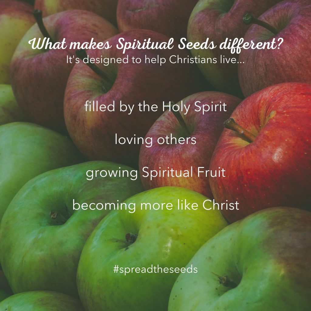 Why the Spiritual Seeds Planner?